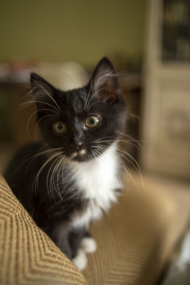 Photograph by Романова Елена