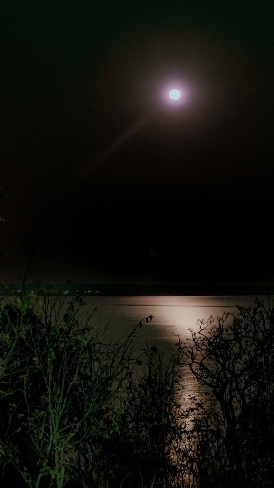 Photograph by Chandra Sekhar B