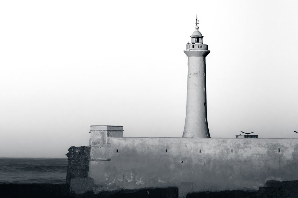 Фотография автора hassan rafik