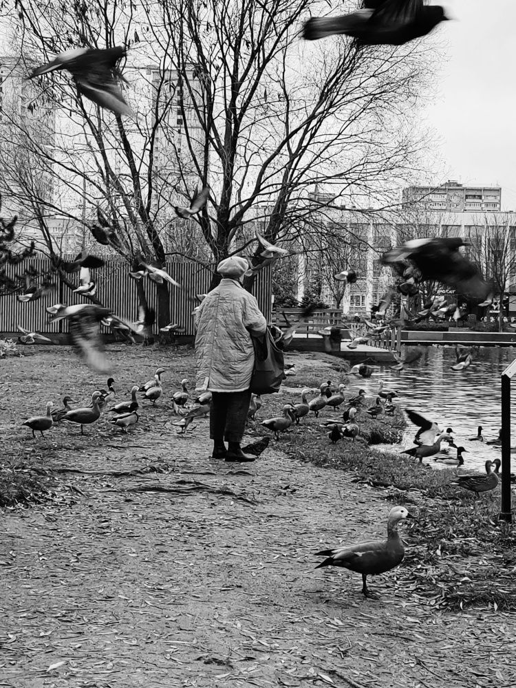 Photograph by Юлия Кузнецова