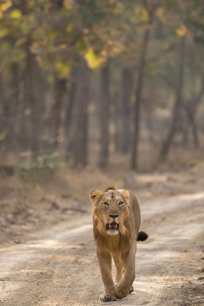 A walk to remember !