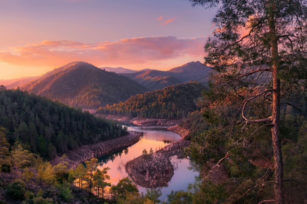 Photograph by Svetlana Tertyshnaya