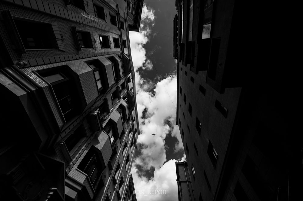 Photograph by Дмитрий Куликов