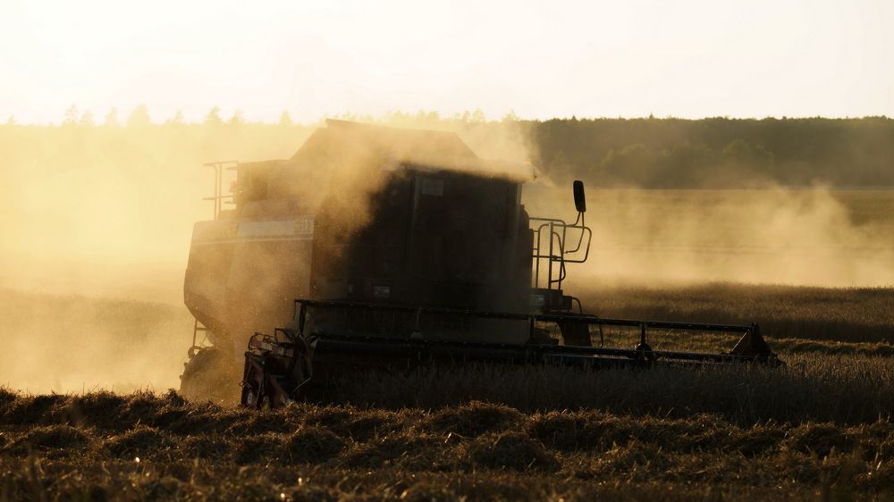 Photograph by Дмитрий Дрозд