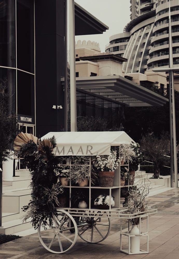 Среди бетонных джунглей