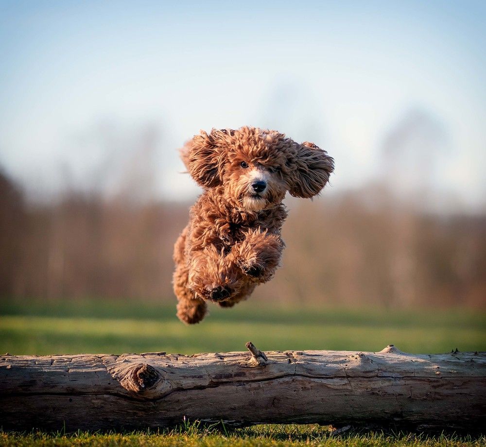 Photograph by Viktor Rudofilov