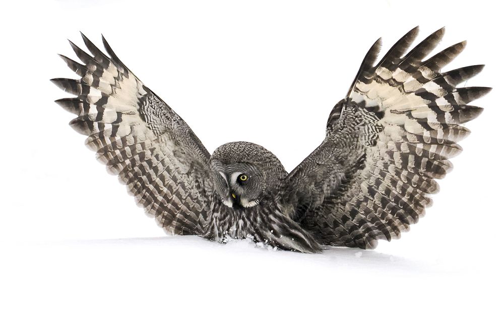 Фотография автора Mariya Belyalova