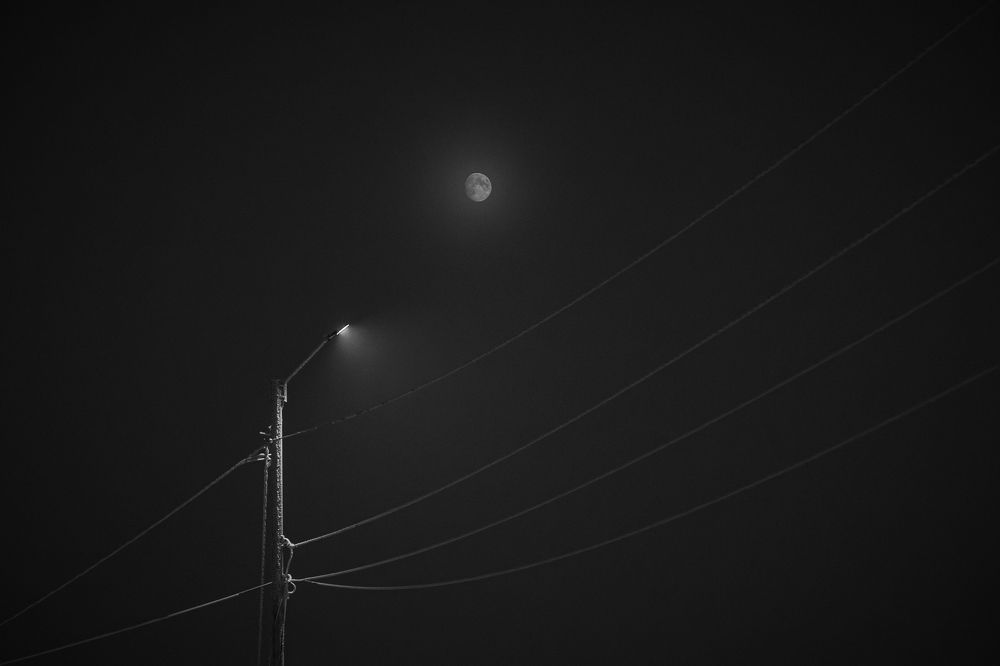 Photograph by Александр Шалагин