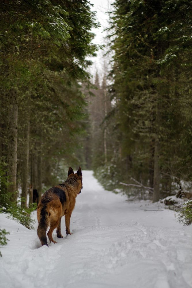 Photograph by Ольга Адольф