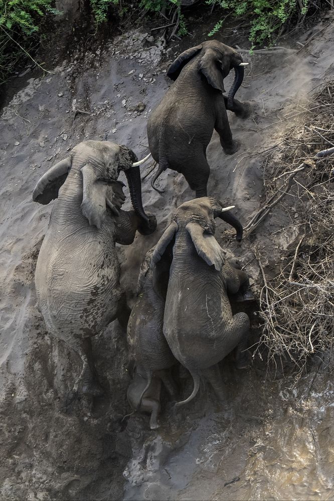 Photograph by Dilip Shah