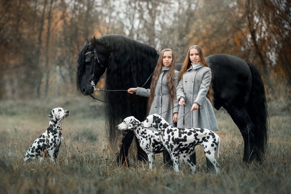 Photograph by Юлия Онучина