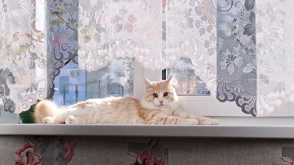 Photograph by Ирина Владимировна