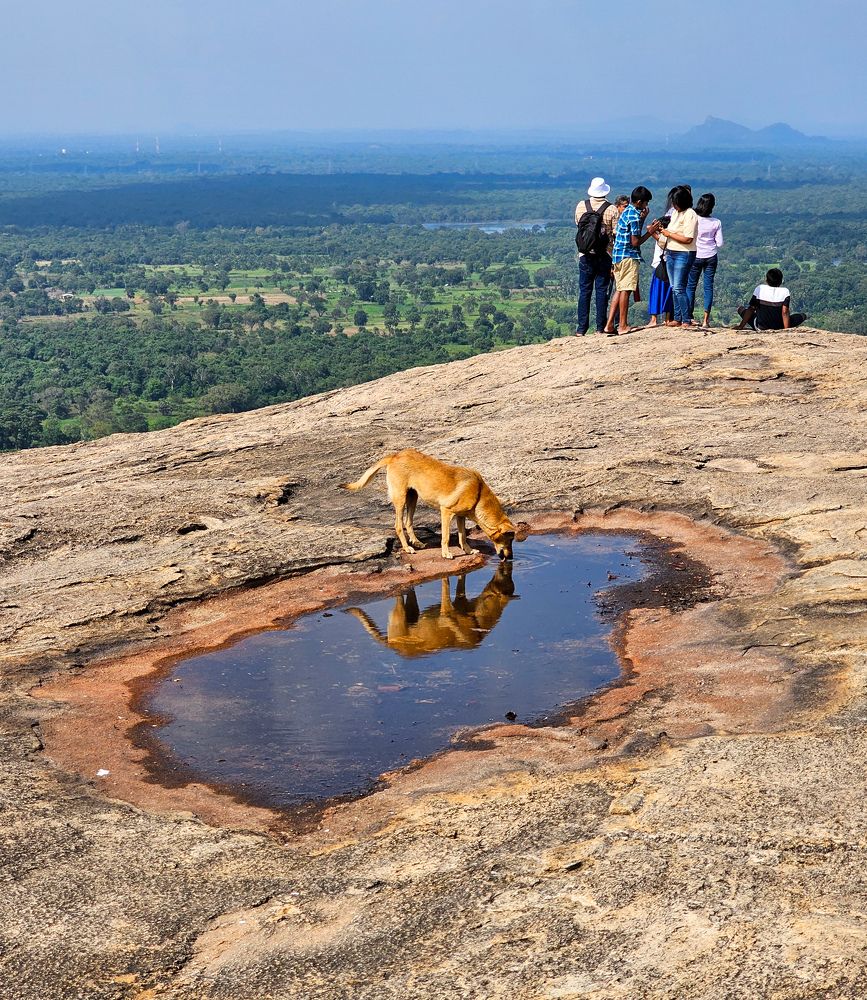 Фотография автора Ольга Шишук
