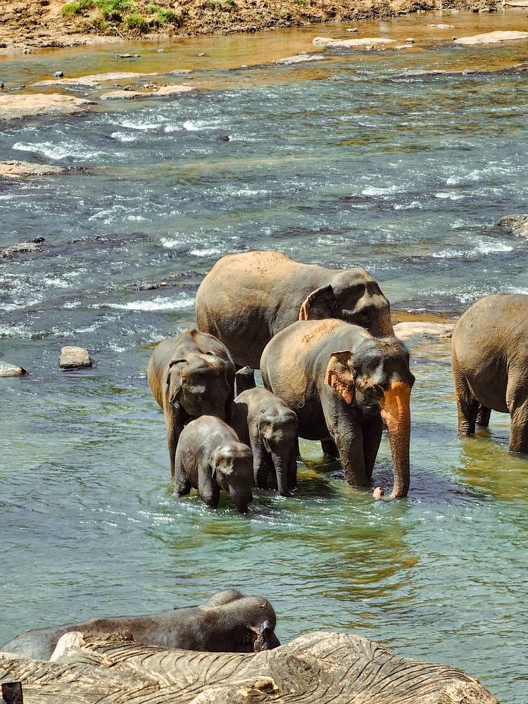 Фотография автора Ольга Шишук