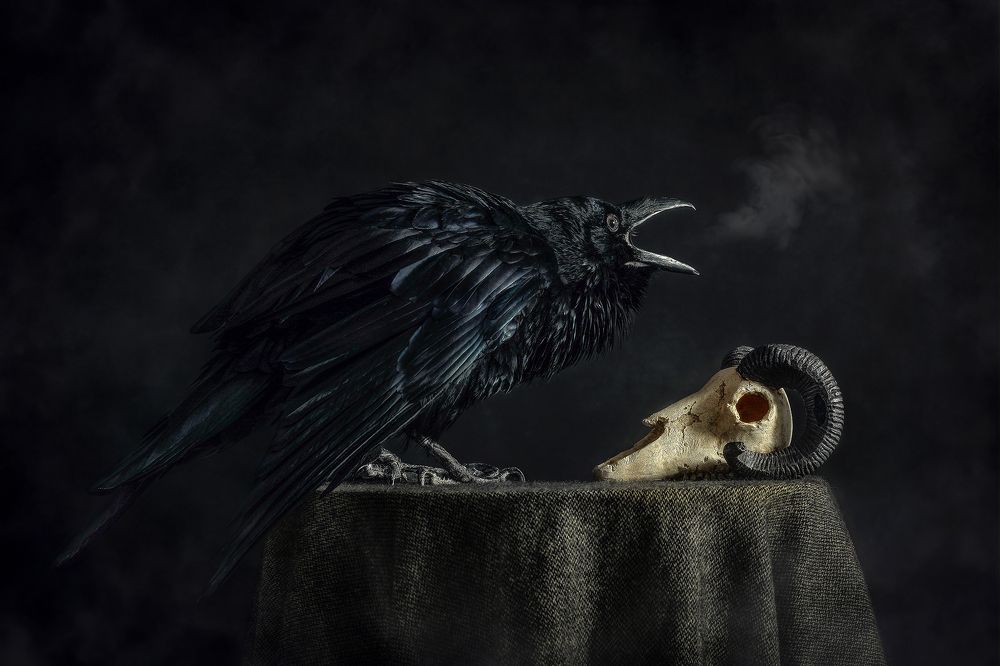 Photograph by Соловьёва Елена