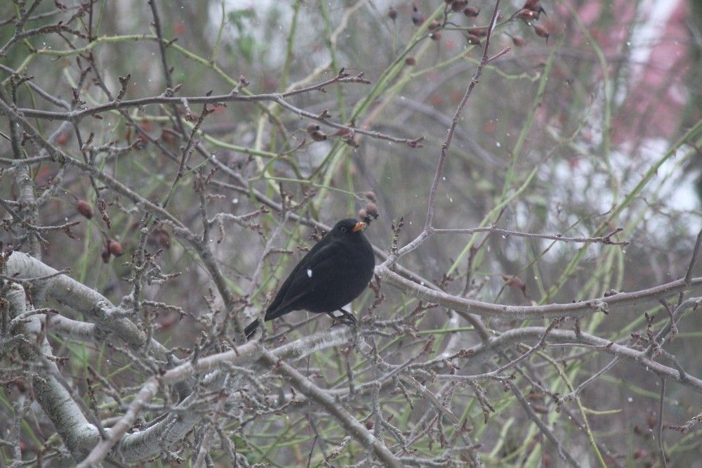 Photograph by Наталья Резванова