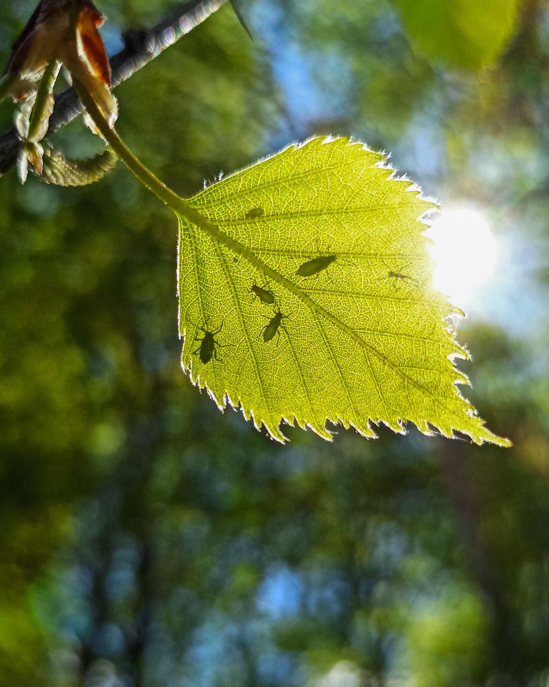 Photograph by Наталья