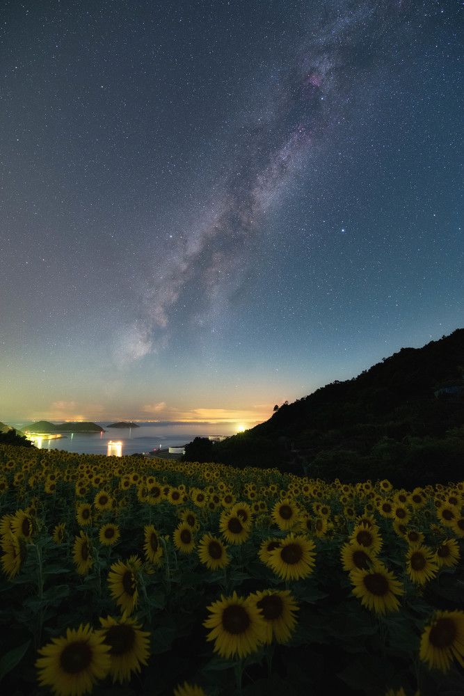 The heavenly starry sky