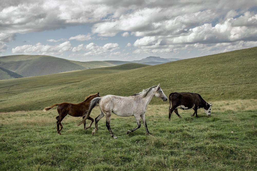 Photograph by Ольга Хентова