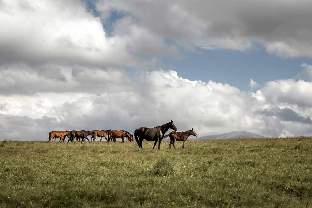 Photograph by Ольга Хентова