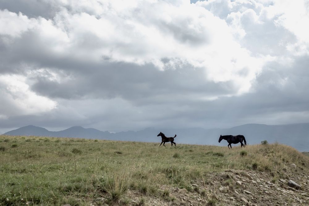 Фотография автора Ольга Хентова