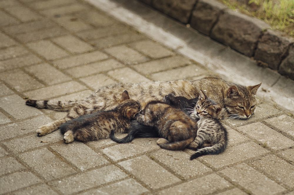 Photograph by Ольга Хентова