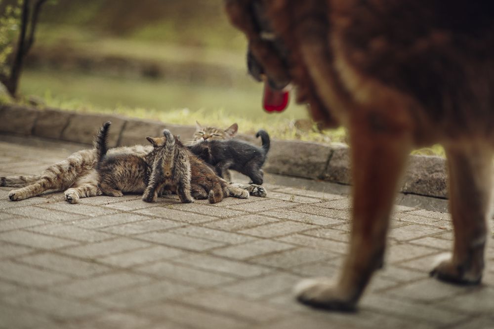 Photograph by Ольга Хентова