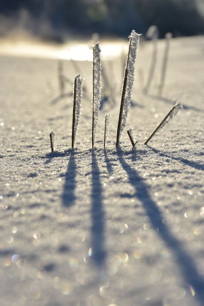 Photograph by Валерий Гудков