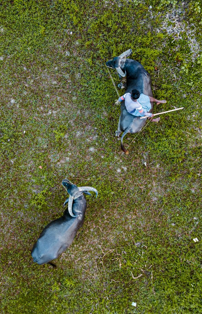 Photograph by Dhrubajyoti Bhattacharyya
