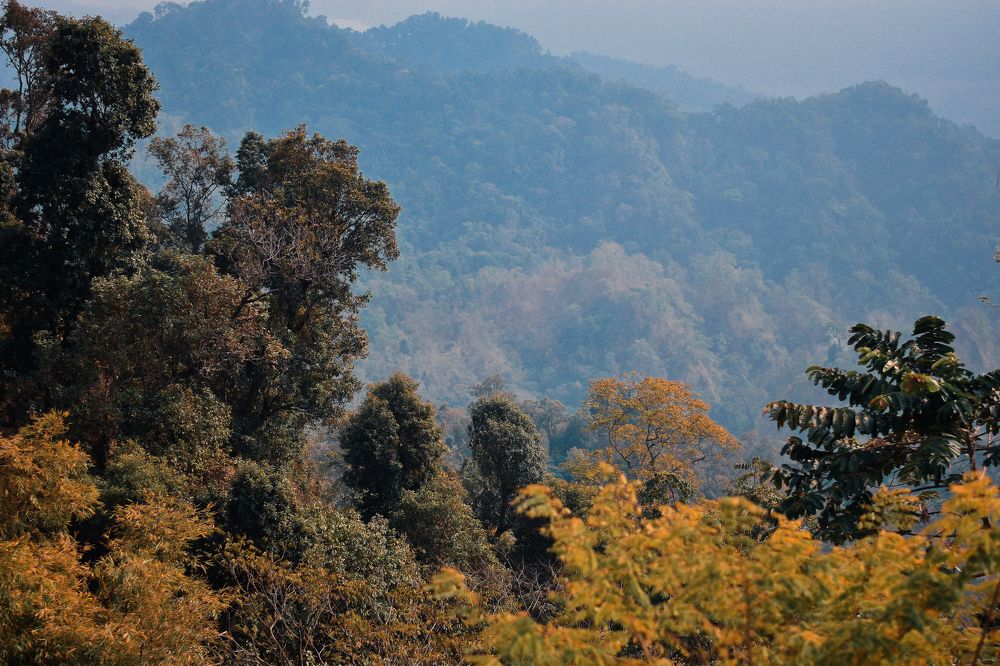 Photograph by Subhadip Kanjilal