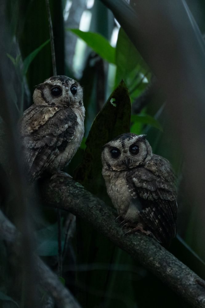 Photograph by Niveth Kumar