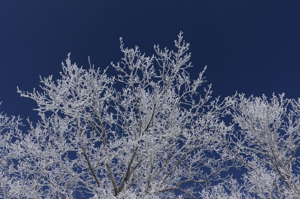 Photograph by Цибуляк Анна