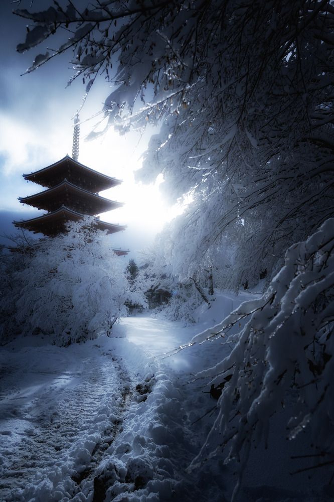 Photograph by Sekioka Hiroaki