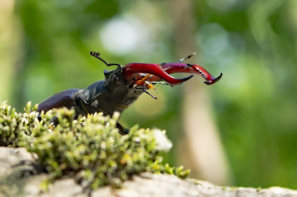 Photograph by Александр