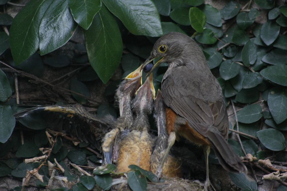 Photograph by gerardo lo Guzzo La Fico