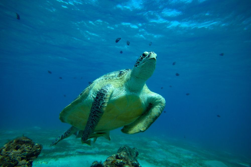 Photograph by Александр