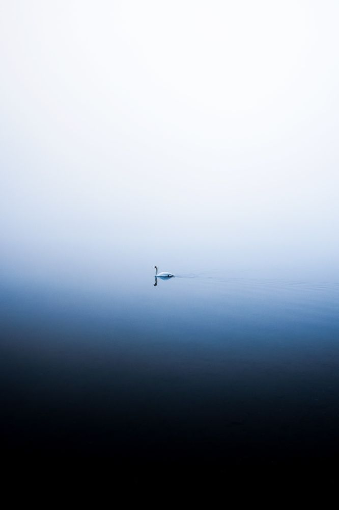 Photograph by Sekioka Hiroaki