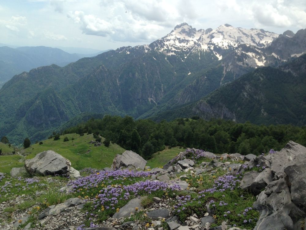 Photograph by Татьяна