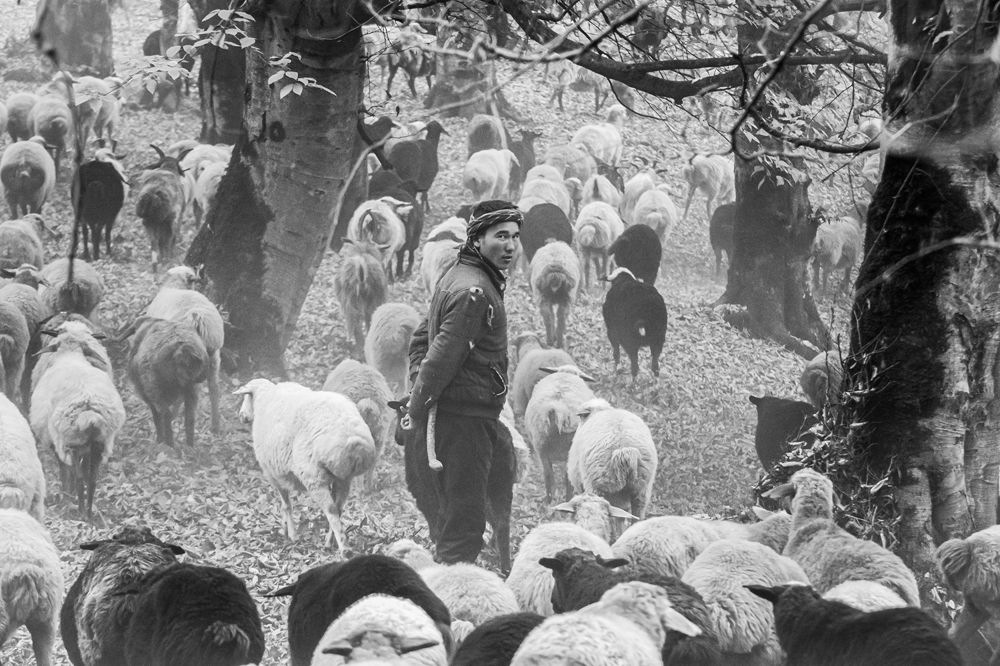 Photograph by Mahdi vagahri shorche