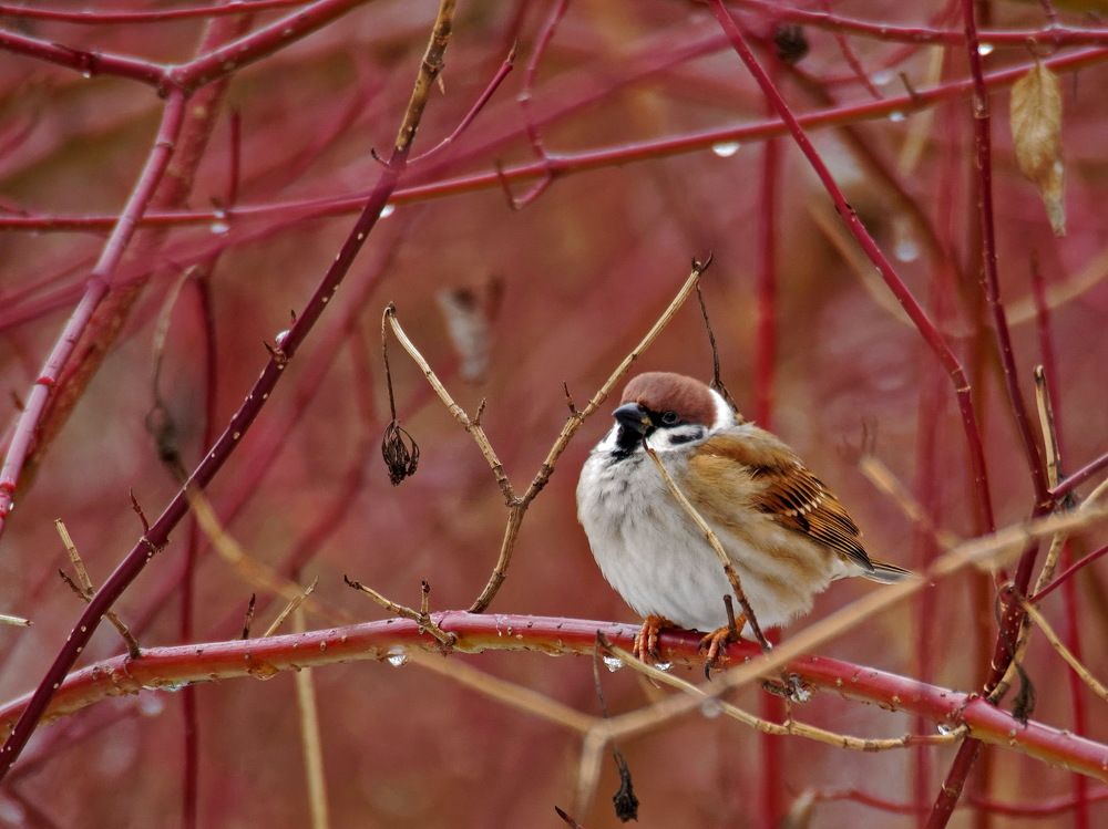 Photograph by Андрей Панин