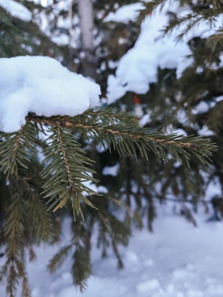 Photograph by Алсу Нугманова