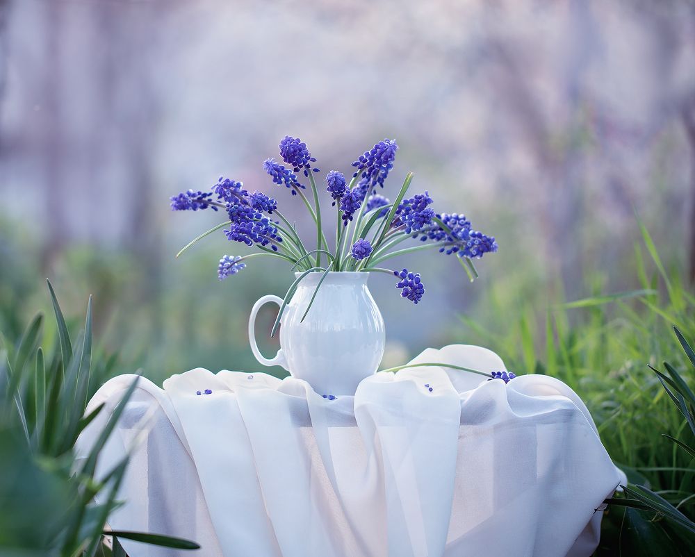 Photograph by Инна Сухова