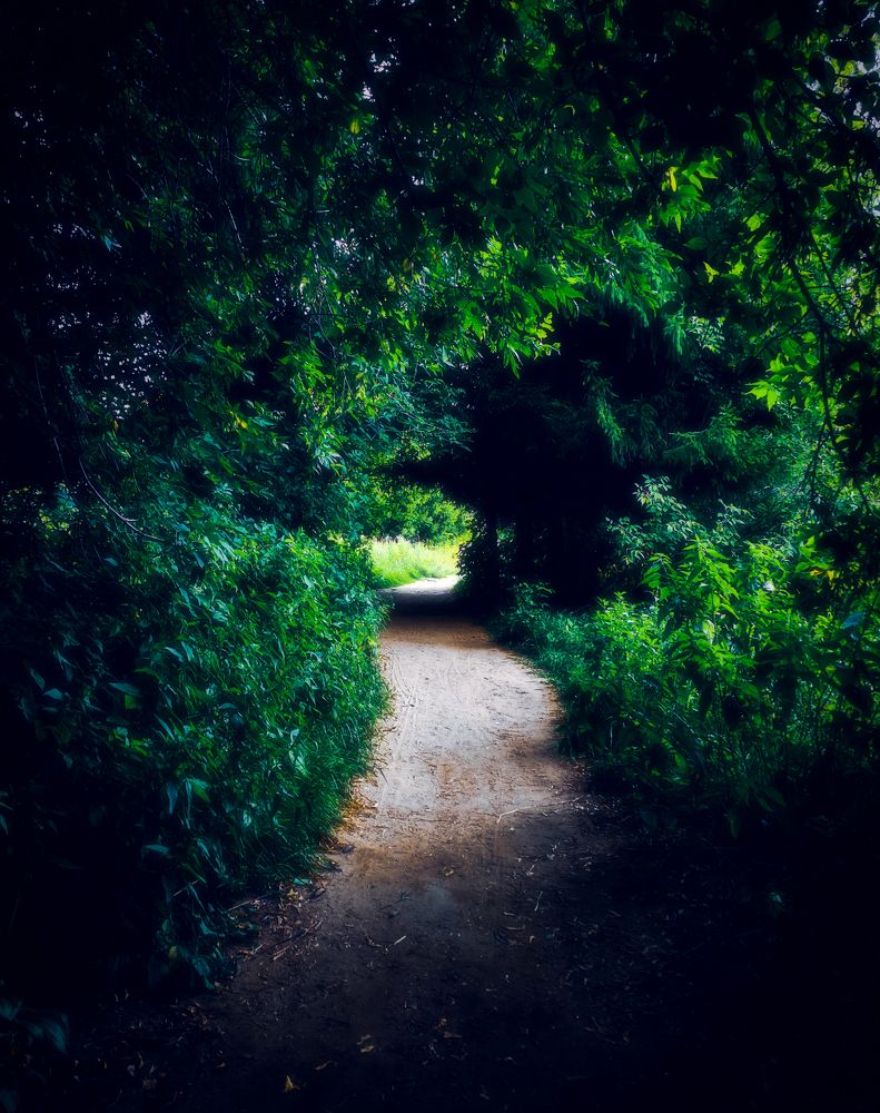 Photograph by Светлана Перминова