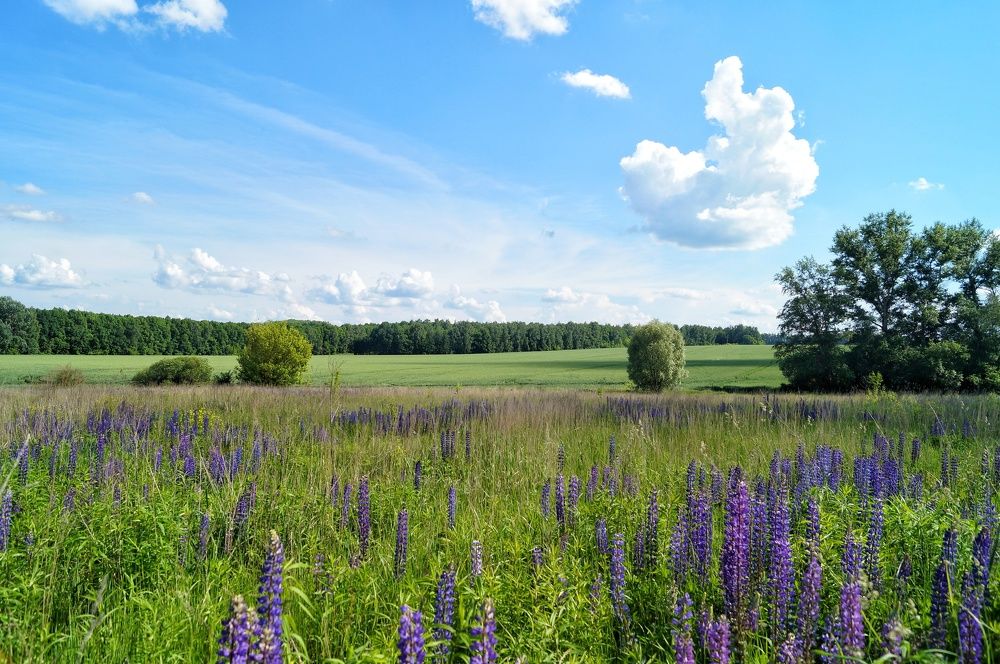 Photograph by Анна Богданова