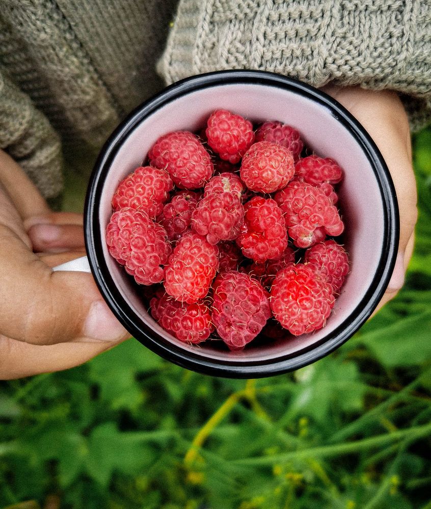 Photograph by Светлана Перминова