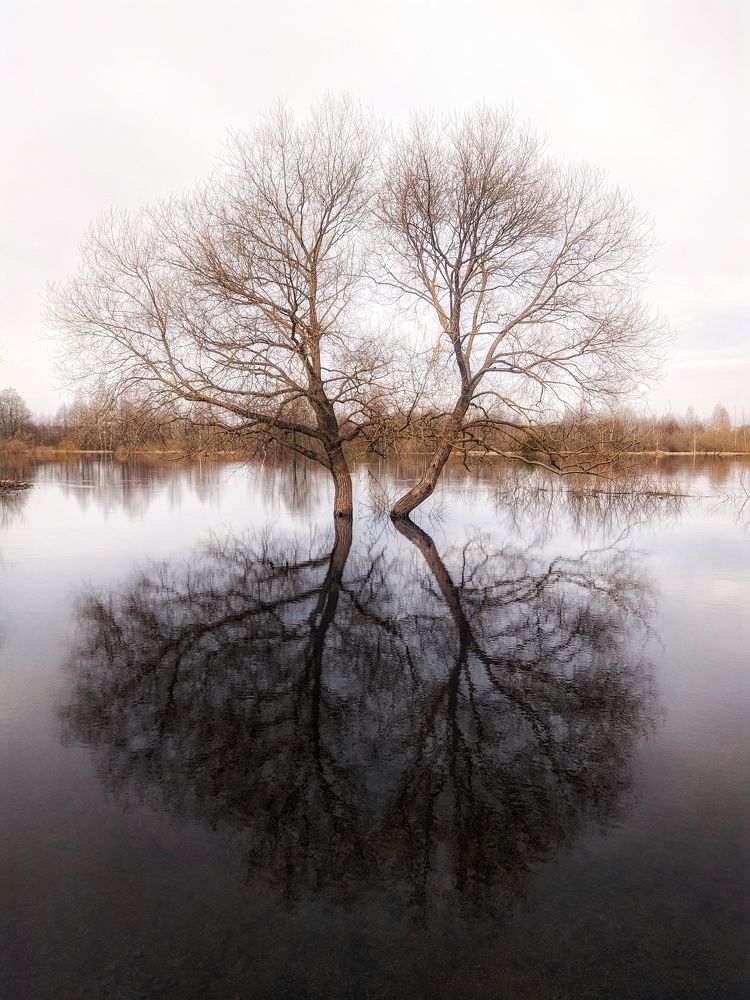 Photograph by Leanid Kulpo