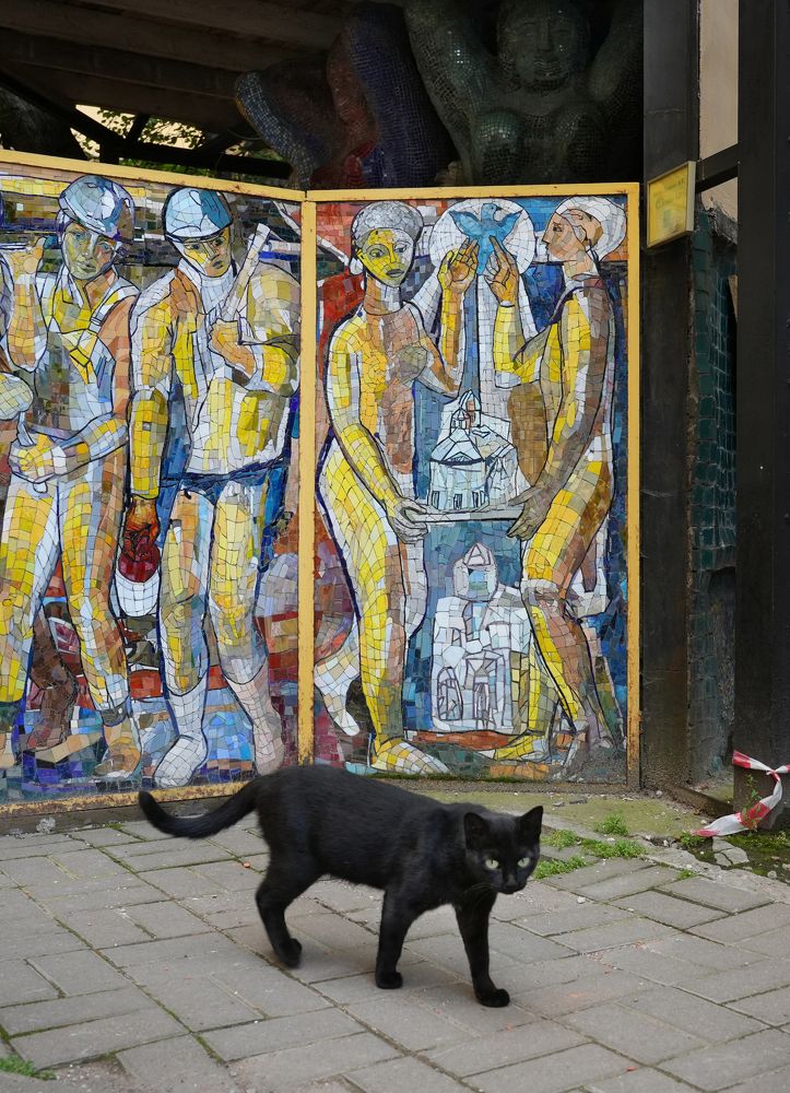 Фотография автора Наталья Белова