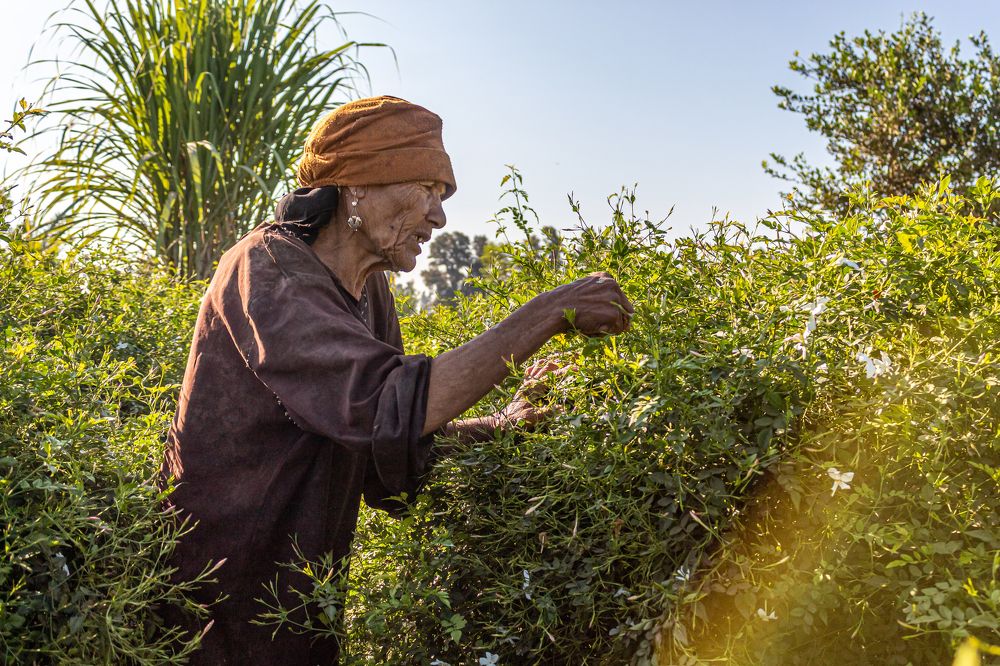 Photograph by Islam Metwally