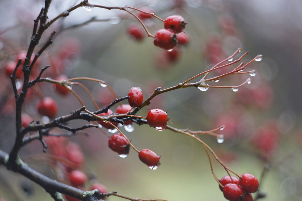 Photograph by Наталья