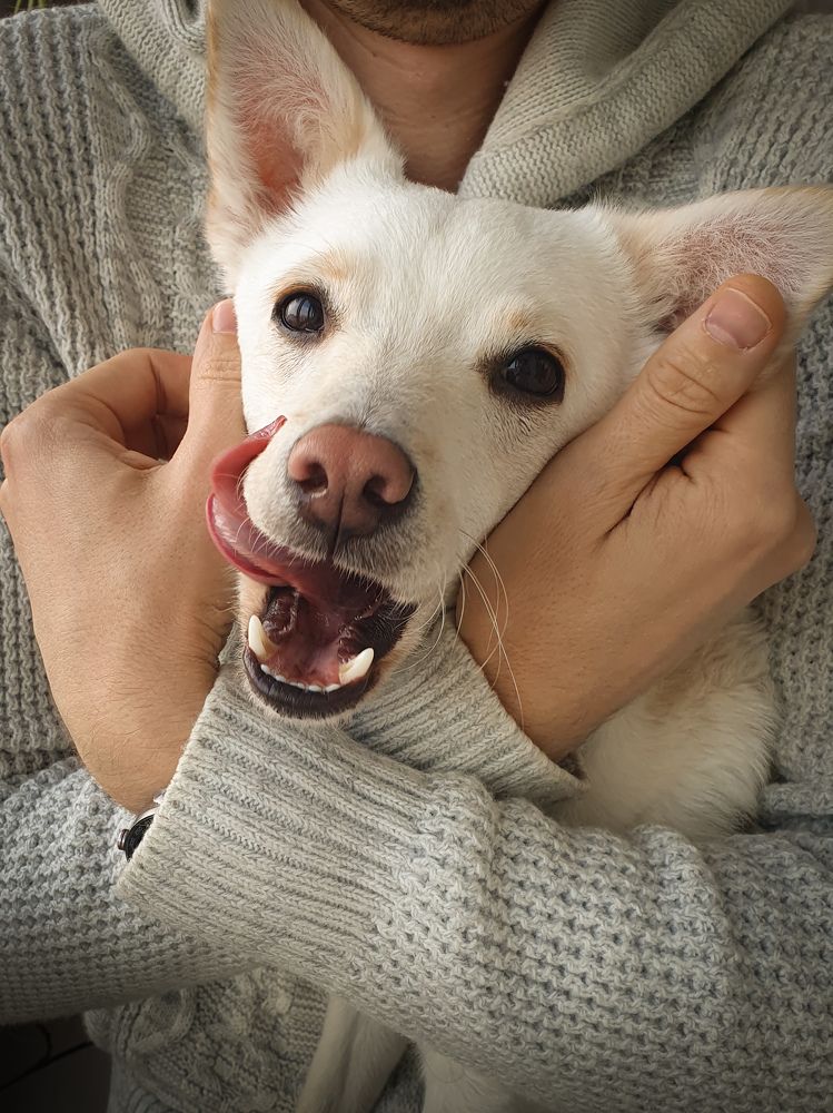 Фотография автора Ольга Шишук